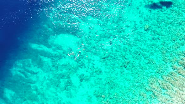 Wide angle drone copy space shot of a paradise sunny white sand beach and blue water background 