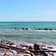 The rocky coast of the Baltic Sea and waves beat against stones on the island of Ruegen Germany. - VideoHive Item for Sale
