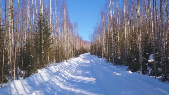 Winter landscape