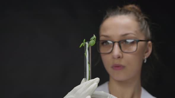 Pretty Smiling Scientist Looks at Plant Leaf in Test Tube on Black Background