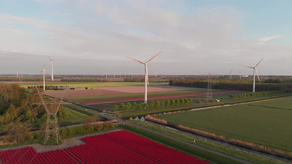 Wind Turbines Generating Energy On The Fields With Beautiful Red Tulips In Flevoland, Netherlands. a