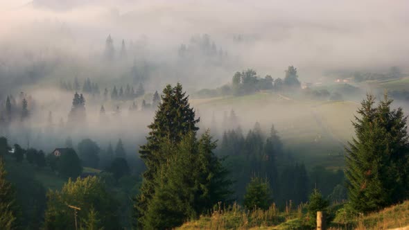 Foggy Morning in the Ukrainian Carpathian Mountains in Summer