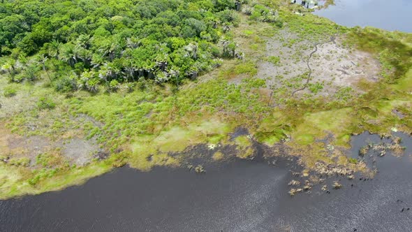 Aerial View of Tropical Rain Forest, Jungle in Brazil