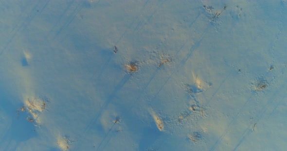 Aerial Drone View of Cold Winter Landscape with Arctic Field Trees Covered with Frost Snow and