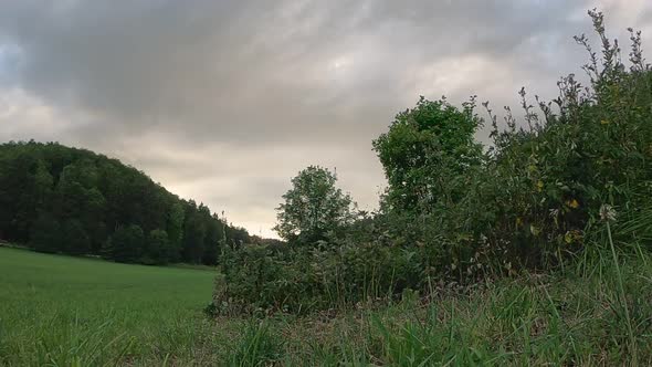 Timelapse of moving clouds in the nature at a green meadow, filmed from lower perspective while the