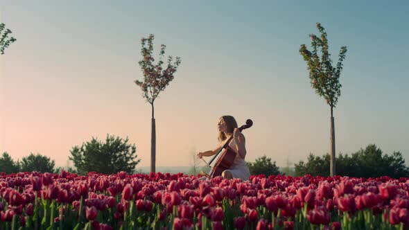 Young Woman Playing Cello with Inspiration in Blooming Tulip Field