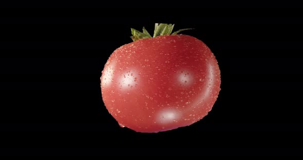 Organic Food. Tomato. Vegetable. Alpha Channel