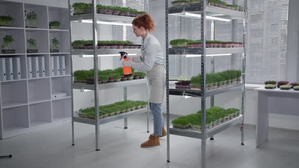 Female Farmer in an Apron Inspects Sprouts in Containers and Sprinkles Water and Spray Bottles on