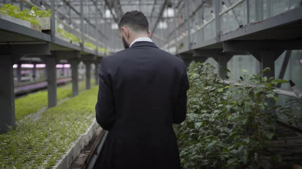Camera Following Young Caucasian Man in Suit Walking Along Rows with Plants in Greenhouse