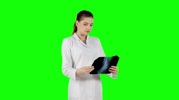 Professional Doctor Working with X-ray Scan. Green Screen