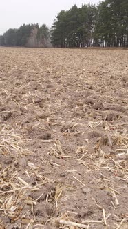 Vertical Video of a Field with Plowed Land in Autumn Slow Motion