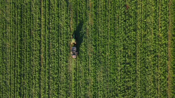 Tractor Fertilizing Agricultural Field