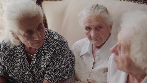 Three Grandmothers Having Pleasant Talk on Sofa in Room