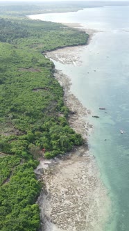 Tanzania  Coast of Zanzibar Island Covered with Thickets Slow Motion