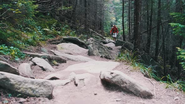Tourist with a Backpack Goes Down Along the Stone Trail in Mountain Forest.