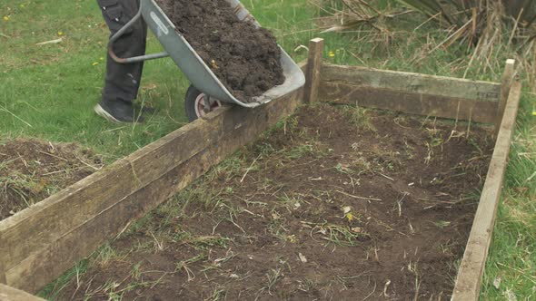 Man spills wheelbarrow full of soil into raised garden bed