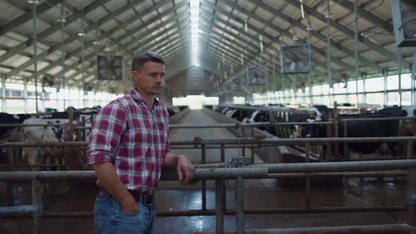 Farmer Standing Cows Stall Leaning on Fence