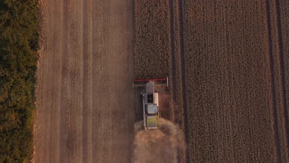 Drone Of Combine Harvesting Wheat In Field