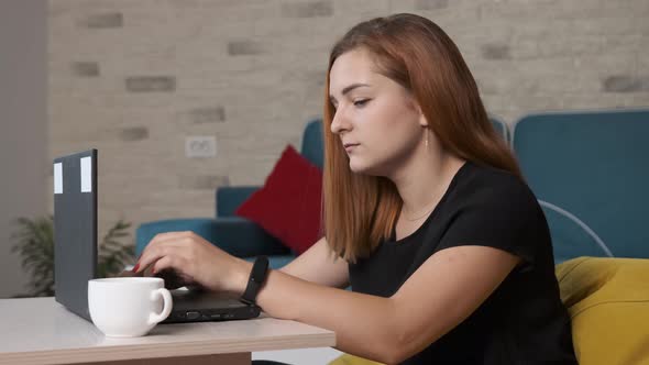 Young Woman Is Drinking a Cup of Coffee While Is Working at the Laptop From Home Office