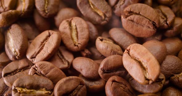 Close Up of Seeds of Coffee