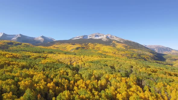 Fall colors in Crested Butte, Colorado