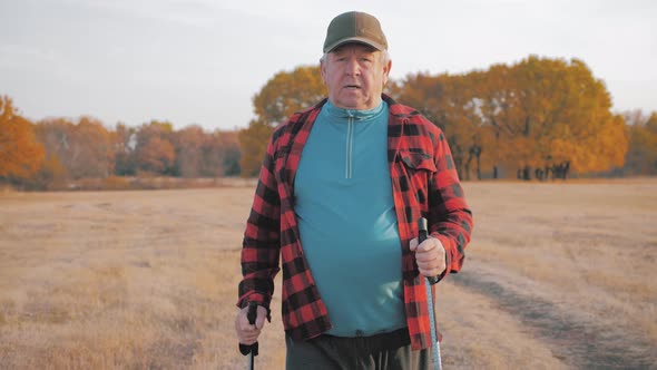 Senior Man Doing a Nordic Walk on a Sunny Day