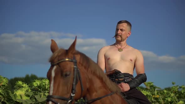 Ukrainian Cossack Riding a Horse in the Field Looks Far