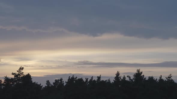 Spectacular Skies Over Forest