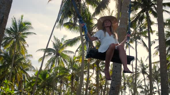 Swinging and Daydreaming Among the Palms