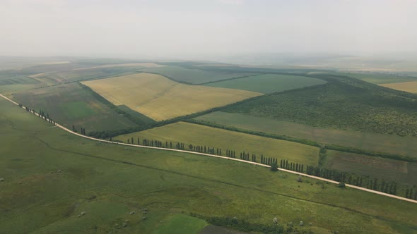 Aerial View of Bright Green and Yellow Agricultural Farm Field and Cross Country Dirt Road