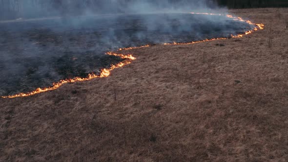 Wild Fire Spreads Through the Forest Steppe. Awful Big High Fire Near the Village. Dry Grass in the