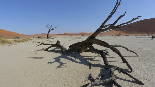 Sossusvlei in Namib desert , Namibia, Africa landscape