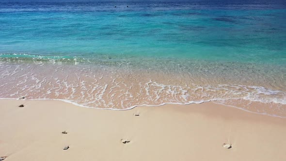 Aerial seascape of tropical tourist beach wildlife by shallow ocean and white sand background of a d