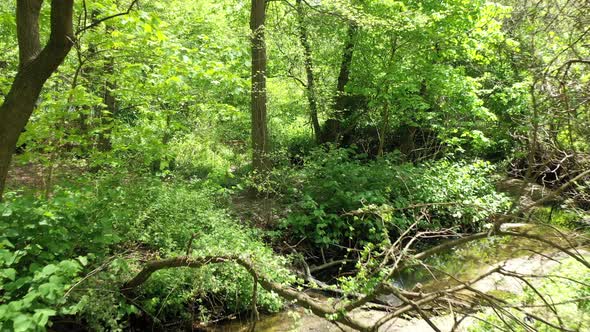 A low angle shot over & along a shallow stream on a sunny day with a drone. The camera dolly out ove