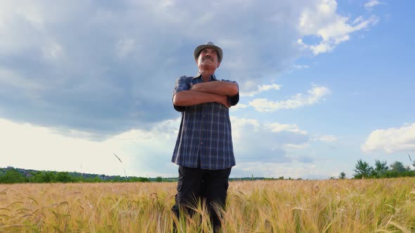 Senior Indian Farmer with Arms Crossed Has a Hat on His Head and is in the Wheat Field