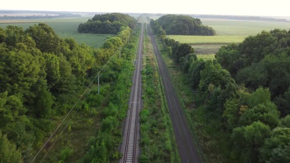 Rails Through the Forest and Field