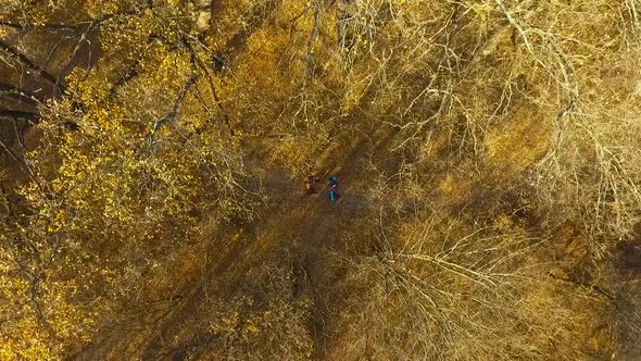 Travelers walking on fotpath in autumn forest