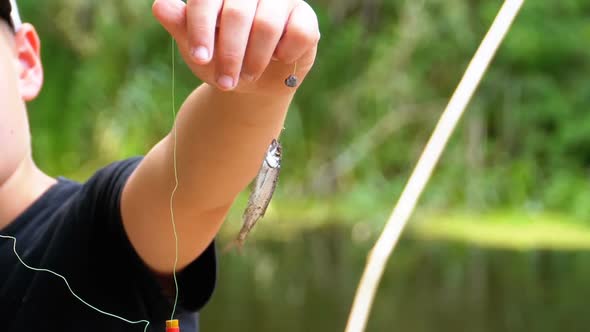 Caught Herring Fish Dangles on a Hook Suspended on a Fishing Line. Fishing. Slow Motion