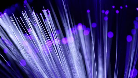 Optical fiber network