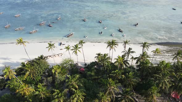 Tanzania  Aerial View of the Beach on Zanzibar Island