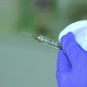 Hand In Glove Co Syringe - VideoHive Item for Sale