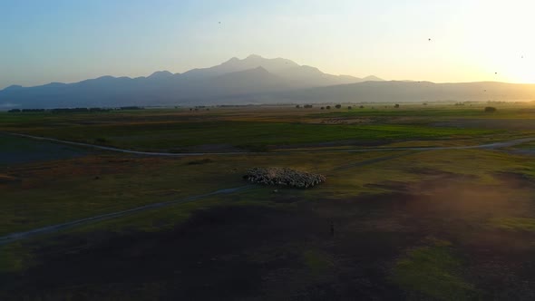 Aerial Sunrise Field