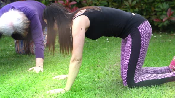 Four Women Training in the Garden