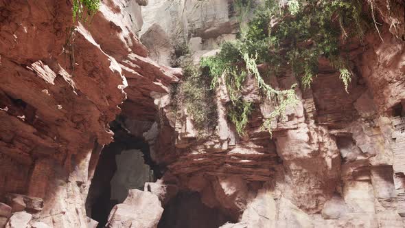 Inside a Limestone Cave with Plants and Sun Shine