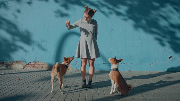 Cute Pretty Woman in Dress with Two Small Dogs