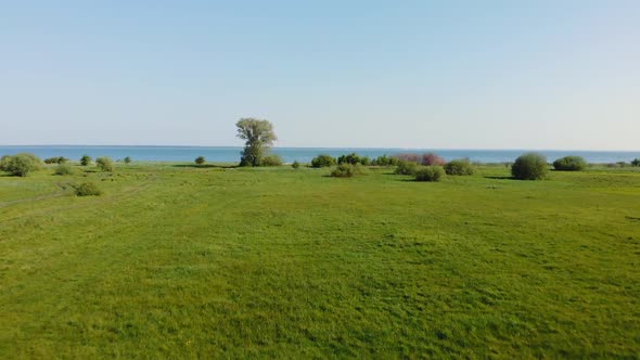 Field Near Sea