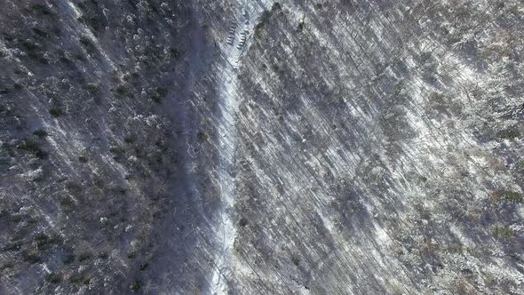 Drone View of the Road and Several Houses in the Middle of the Winter Taiga