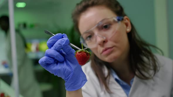 Closeup of Biologist Woman Taking Strawberry with Tweezers