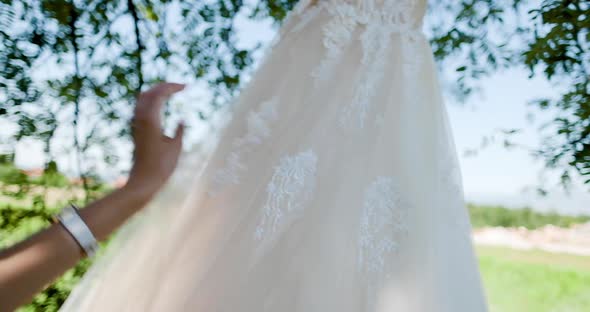 Wedding dress hanging on a tree