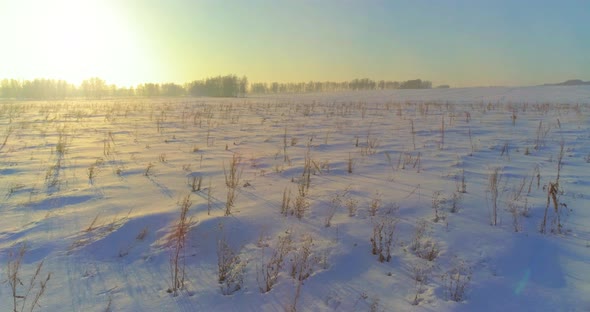 Aerial Drone View of Cold Winter Landscape with Arctic Field Trees Covered with Frost Snow and